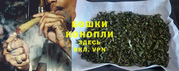 круглые Корсаков